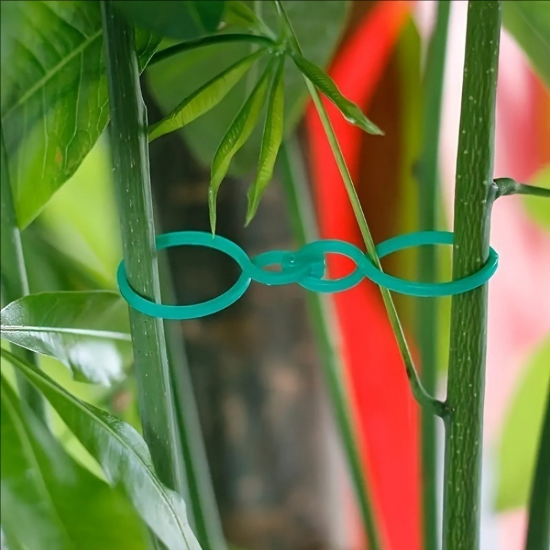 125Pcs Garden Plant Support Ki - đánh giá và giá Vine Climbing Plastic