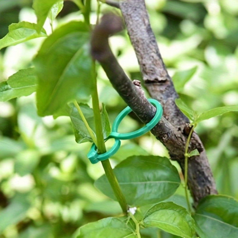 125Pcs Garden Plant Support Ki - đánh giá và giá Vine Climbing Plastic