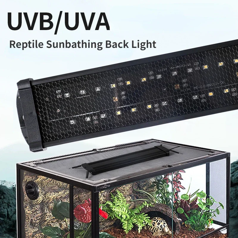 Reptile UVA+UVB Full Spectrum  - đánh giá và giá Calcium Powder Reptile