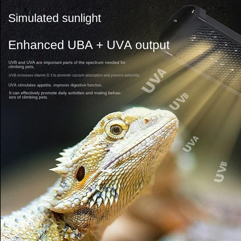 Reptile UVA+UVB Full Spectrum  - đánh giá và giá Calcium Powder Reptile
