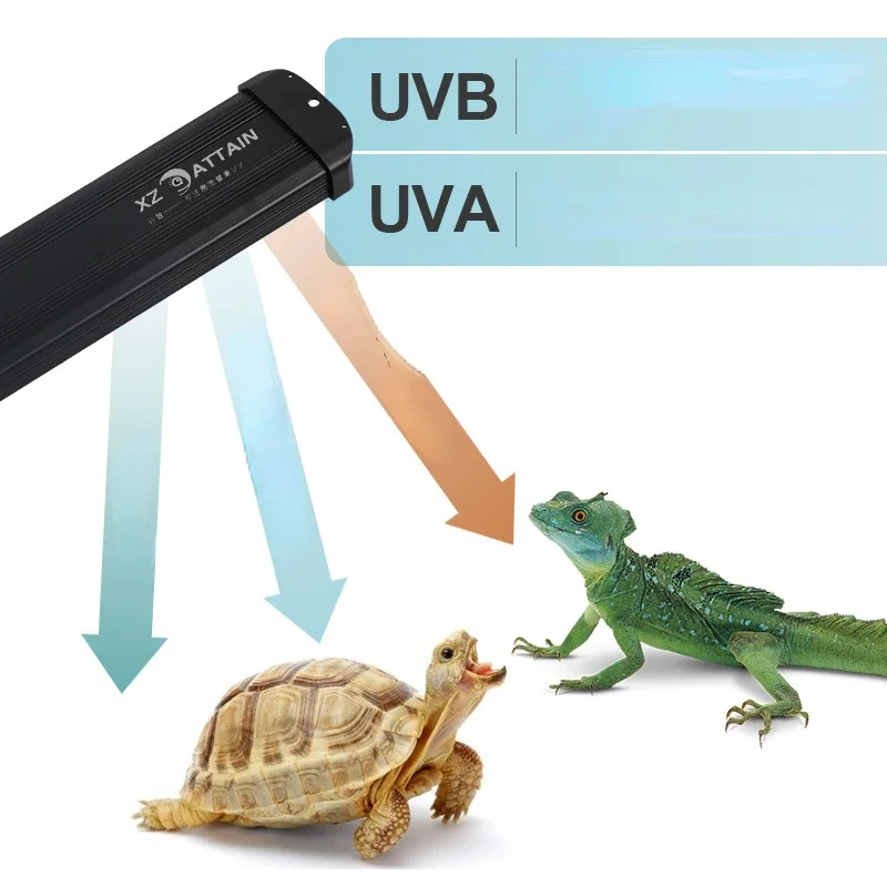 Reptile UVA+UVB Full Spectrum  - đánh giá và giá Calcium Powder Reptile