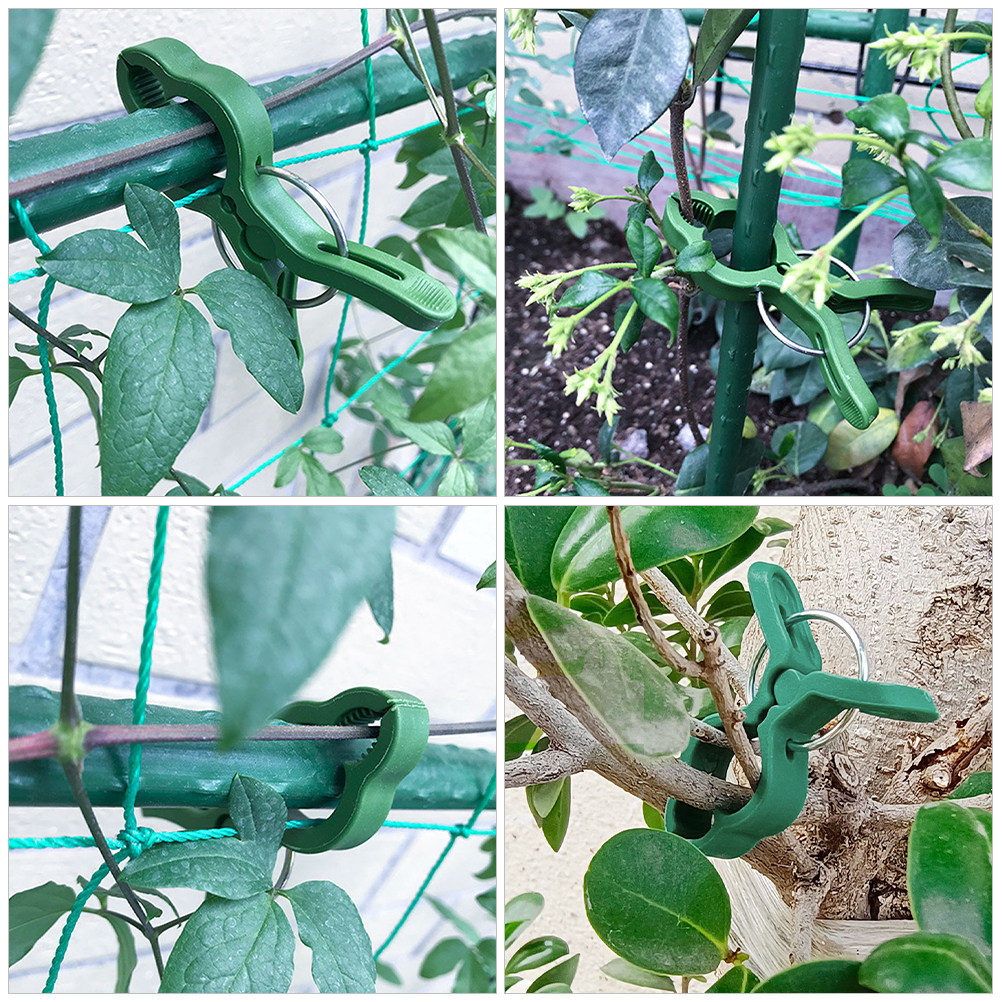 60Pcs Plant Support Clips for  - đánh giá và giá Vine Climbing Plastic