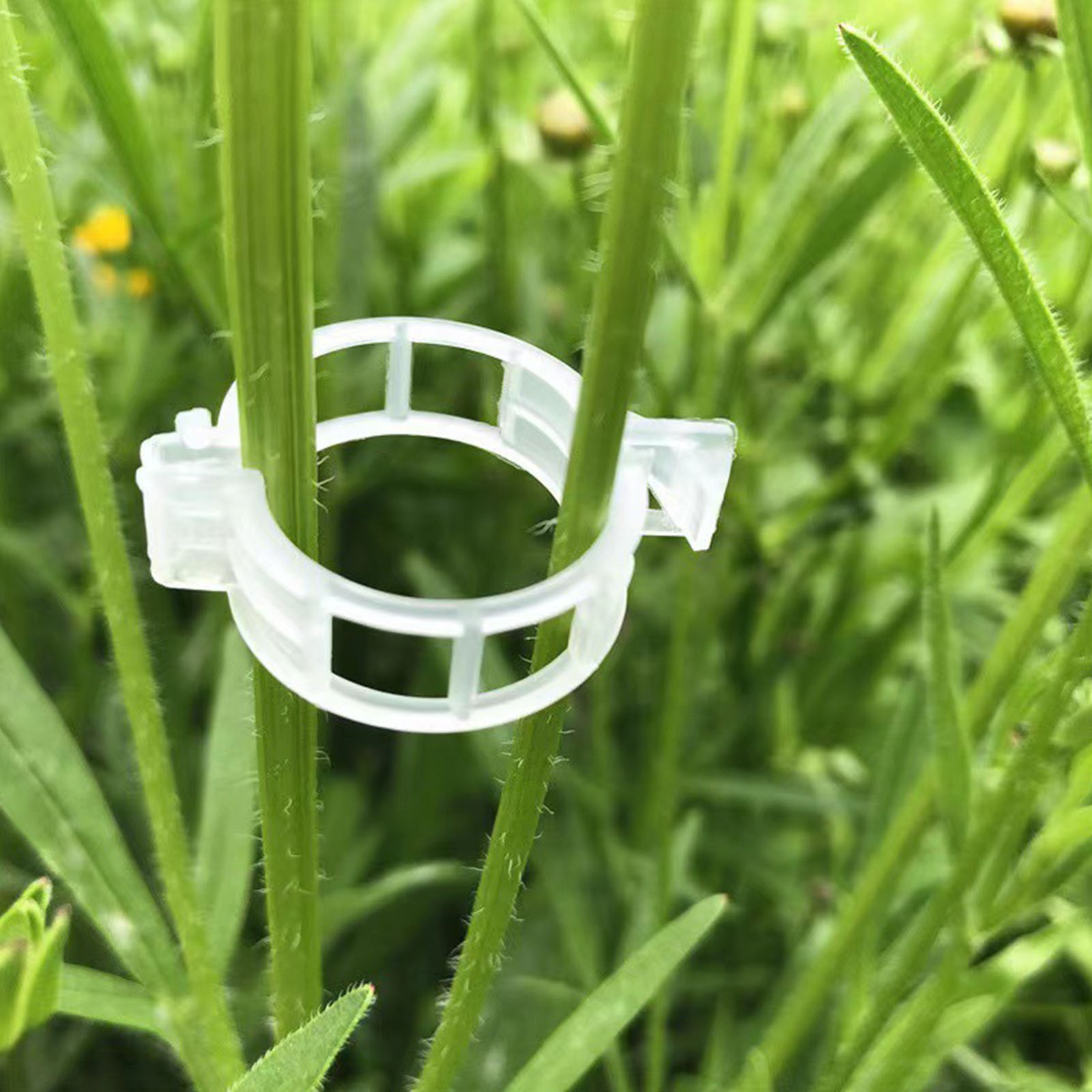 Secured Plastic Plant Clip for - đánh giá và giá Vine Climbing Plastic