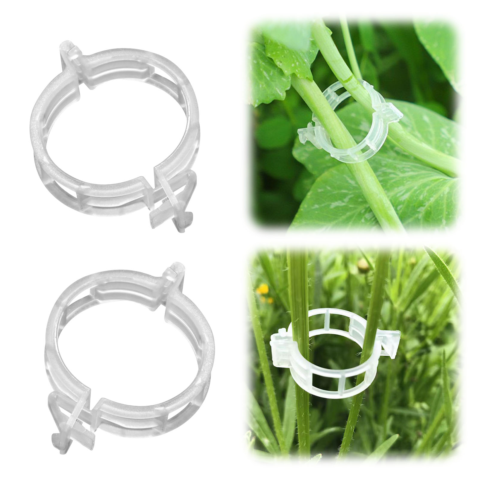 Secured Plastic Plant Clip for - đánh giá và giá Vine Climbing Plastic
